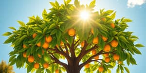 Dividend Investing: Income Through Ownership